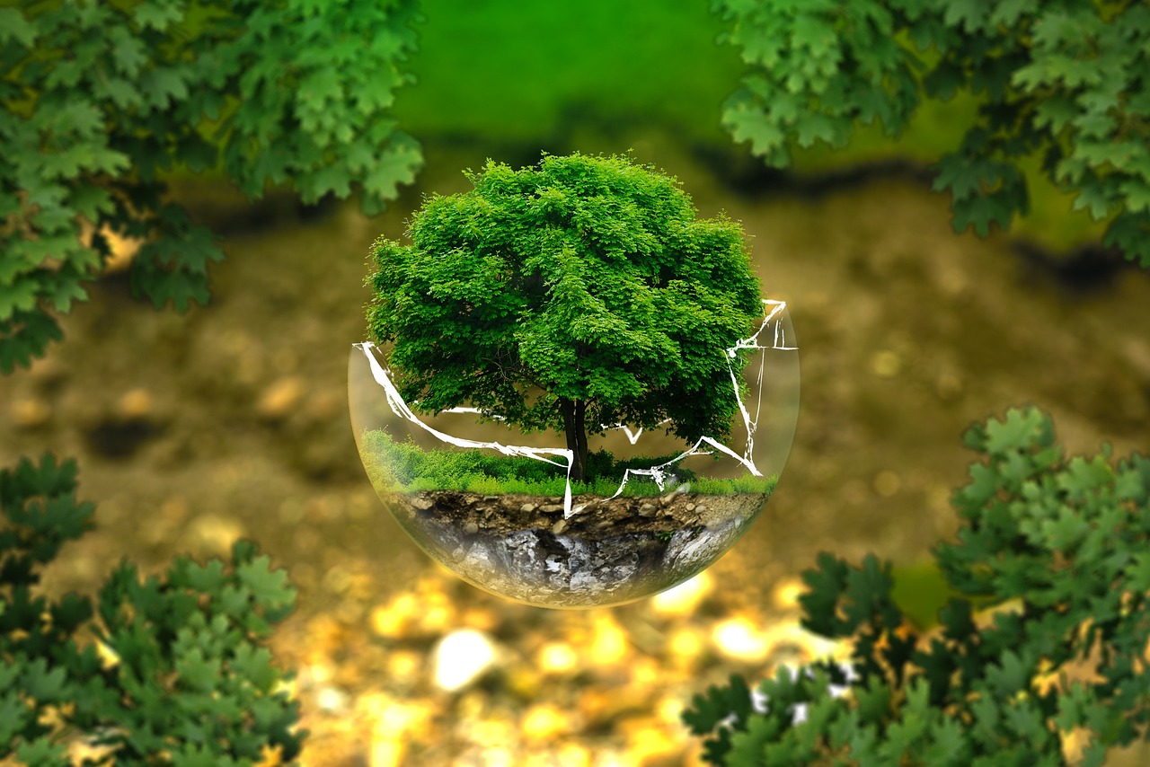 Environmental Regulations